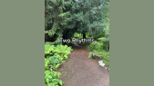 thumbnail of medium Two Rhythms