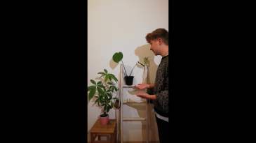 thumbnail of medium Keks-Basisübungen der Sprecherziehung