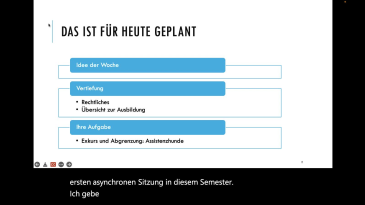 thumbnail of medium 132_IFS_FOE_Sitzung_12